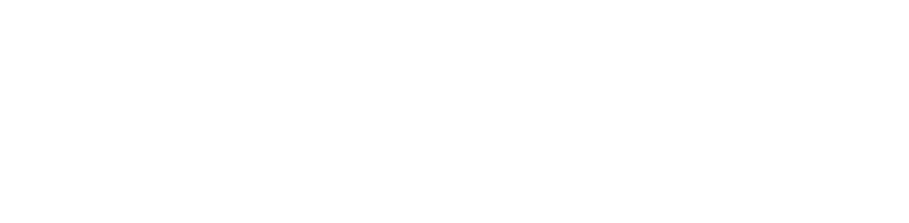 Light Logo