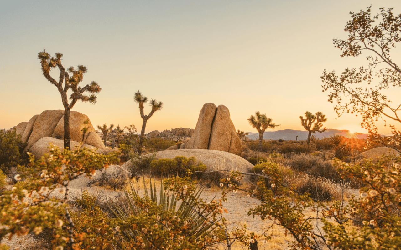 Day Trips From La Quinta, CA