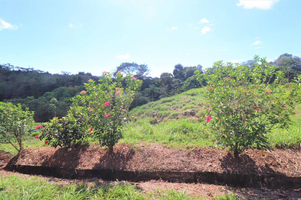 Large Mountain View Lot. 