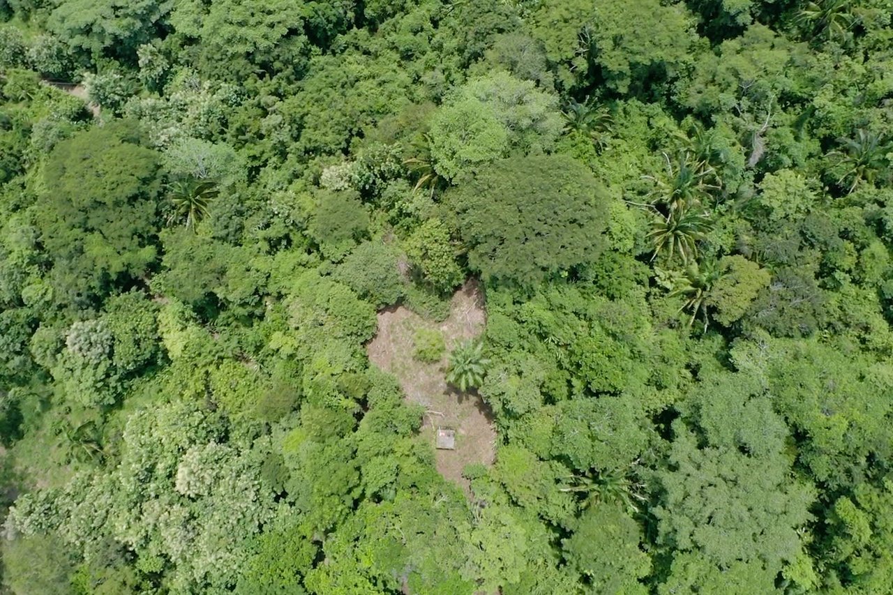 Income Producing Property with Ocean View close to Dominical