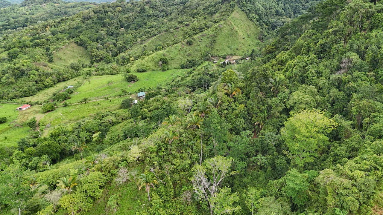 177 acre Ocean view property with multiple plantels, unspoiled mountain, jungle, river and waterfall areas