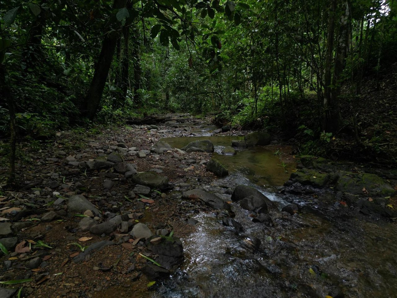 Riverside Boutique Villa Resort, Ojochal, Puntarenas
