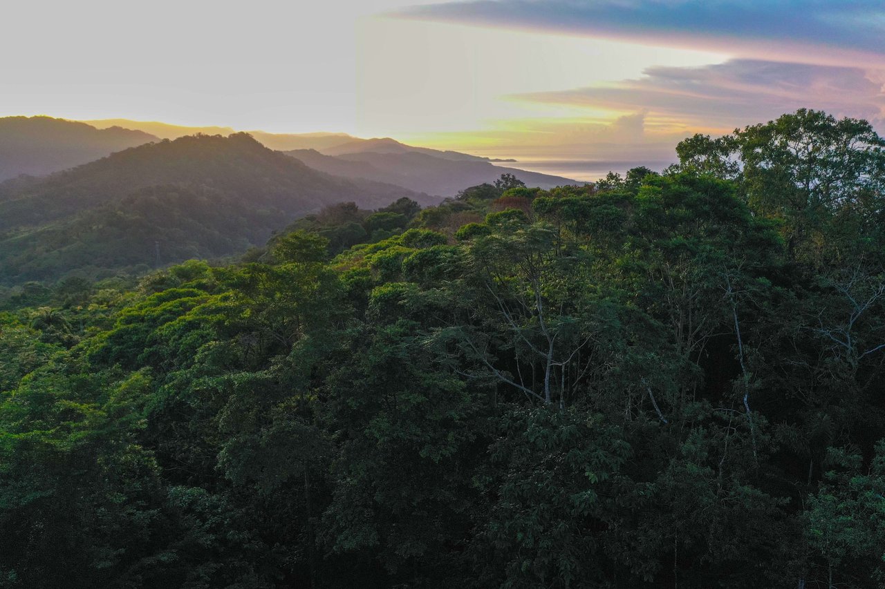 San Andres Luxurious Natural Off-Grid  Eco-Friendly Sustainable Home/Resort