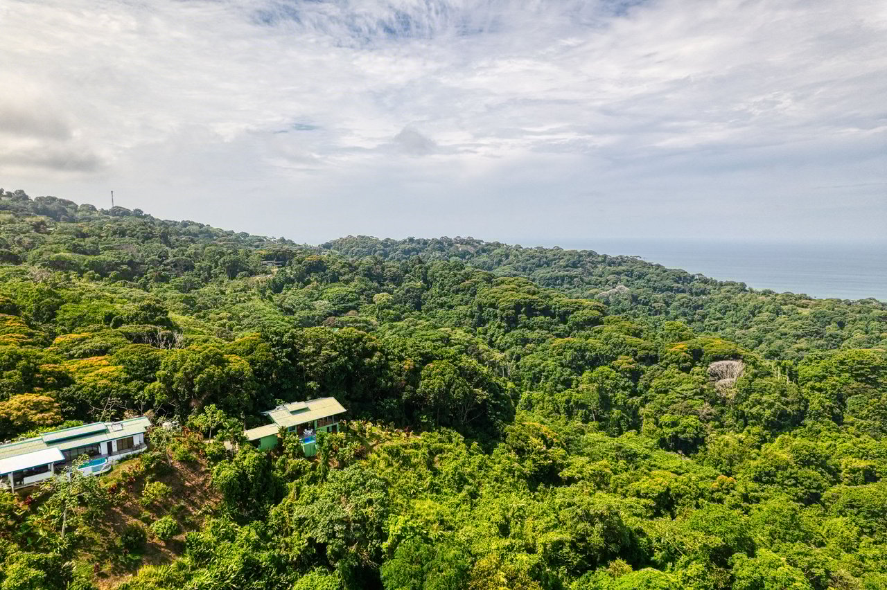Best Views in Dominical – Home with Apartment and Infinity Pool
