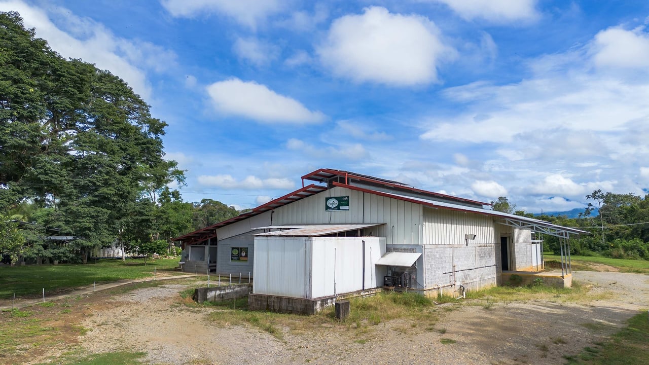 Industrial Plant for Sale in Pérez Zeledón, Costa Rica | 