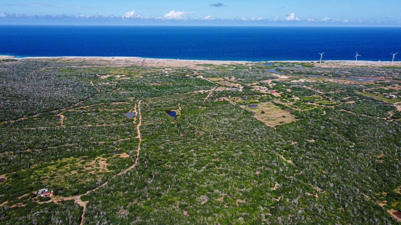 Property land Bonaire