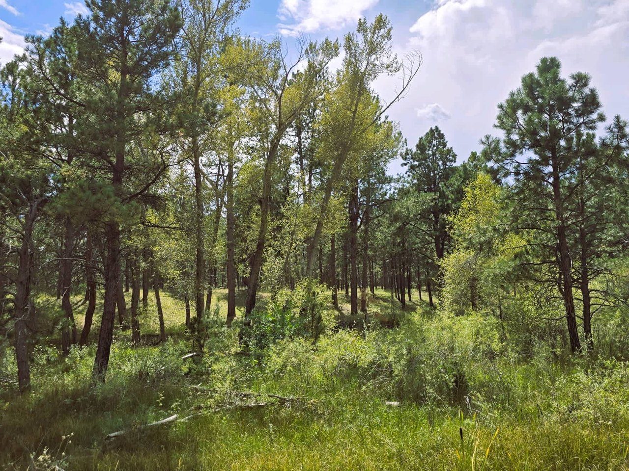00 Meridian Road
