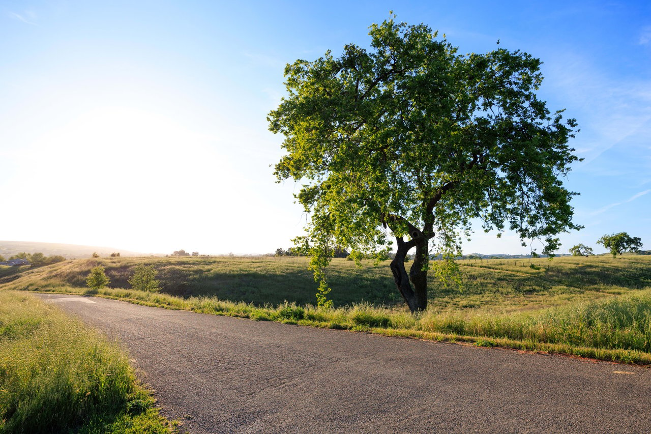 RARE LAND OPPORTUNITY IN LOS OLIVOS