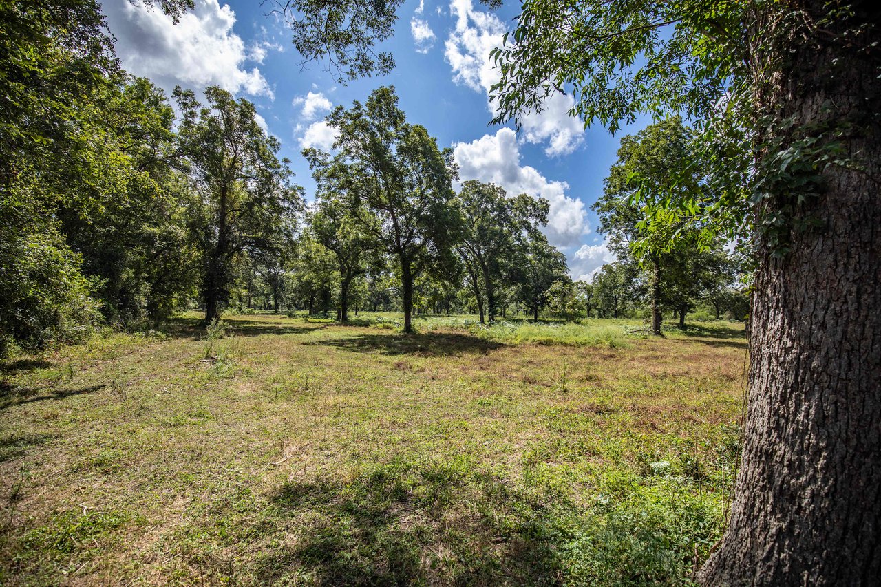 Lovers Lane River Ranch | 140± Acres | DeWitt County