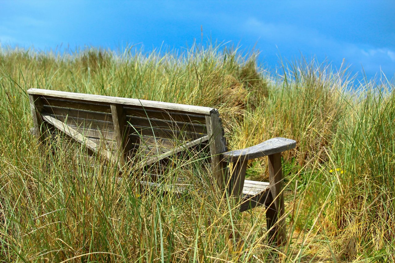 Front yard bench in dune grass Gearhart Oregon