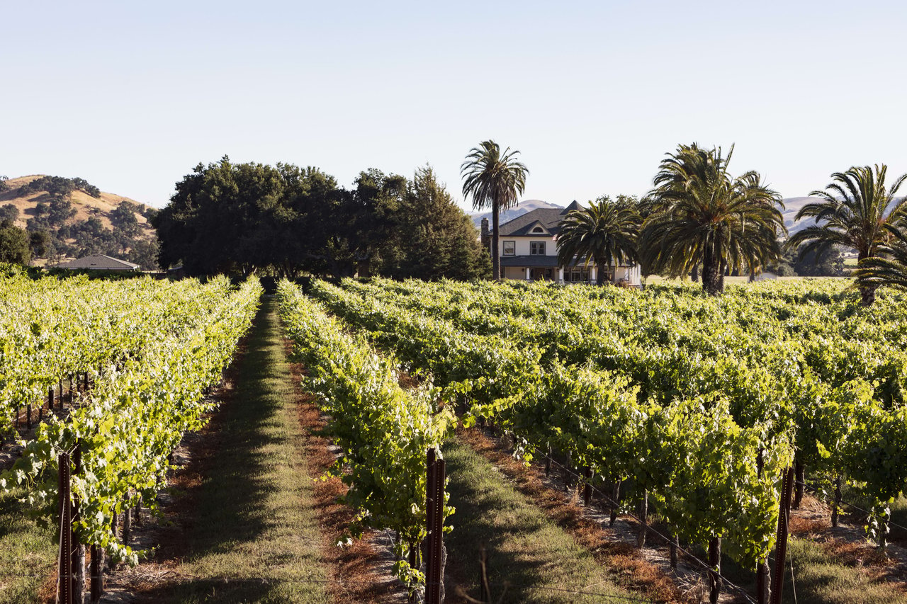 Exploring the Valley: Los Olivos