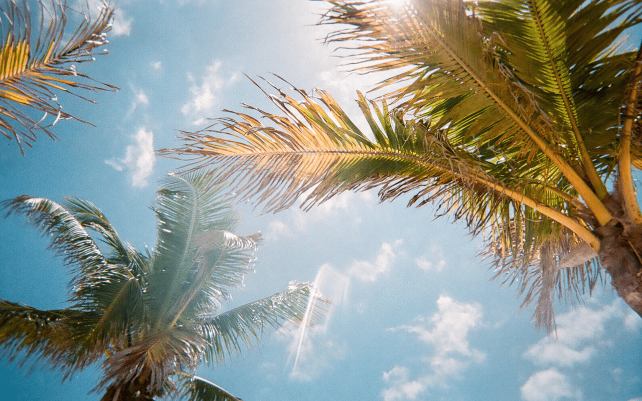5 Reasons Chicago Residents Buy Vacation Homes in Southwest Florida