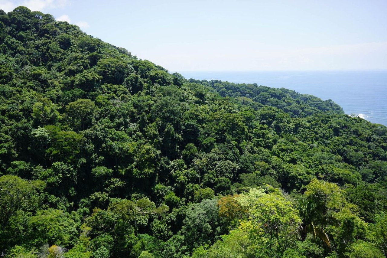 Premier Ocean View Development Site, Jaco, Puntarenas
