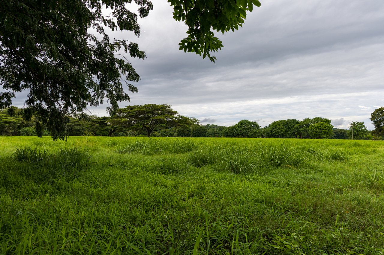 Expansive Fertile Mountain Ranch, Flamingo, Guanacaste