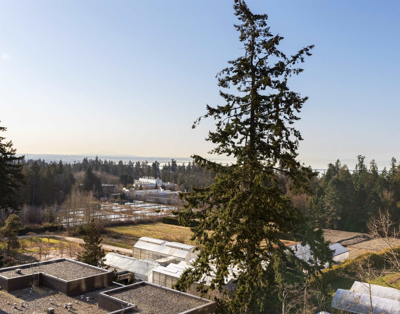 1106-3533 Ross Dr