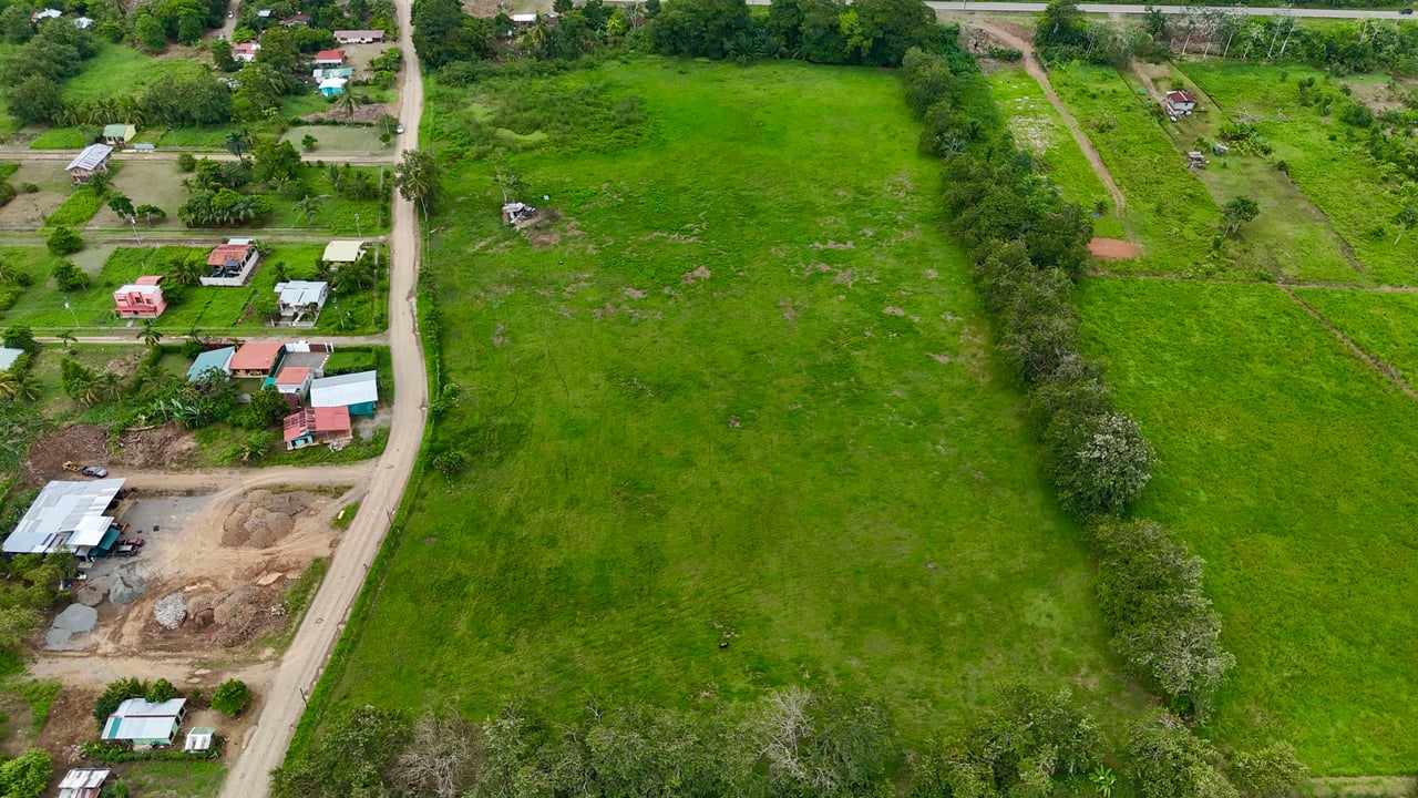 Fire Sale – Over 12 Acres of Land with Public Road Frontage Near Ojochal