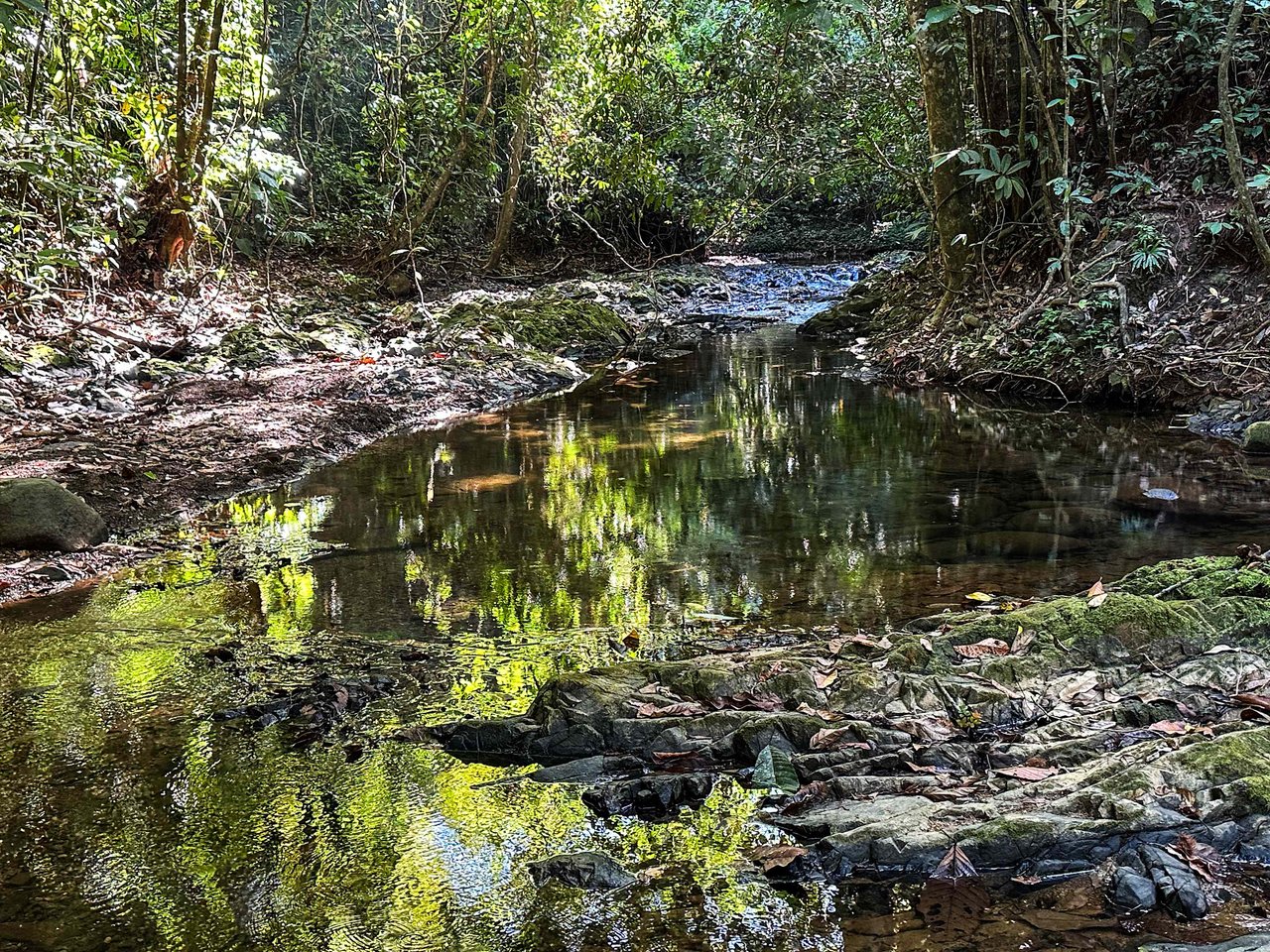 A 1-bedroom loft PERFECT for a couple or an Airbnb rental – plus a HUGE jungle backyard with a year-round river and many magical swimming holes – and a lot of flat land for further development!