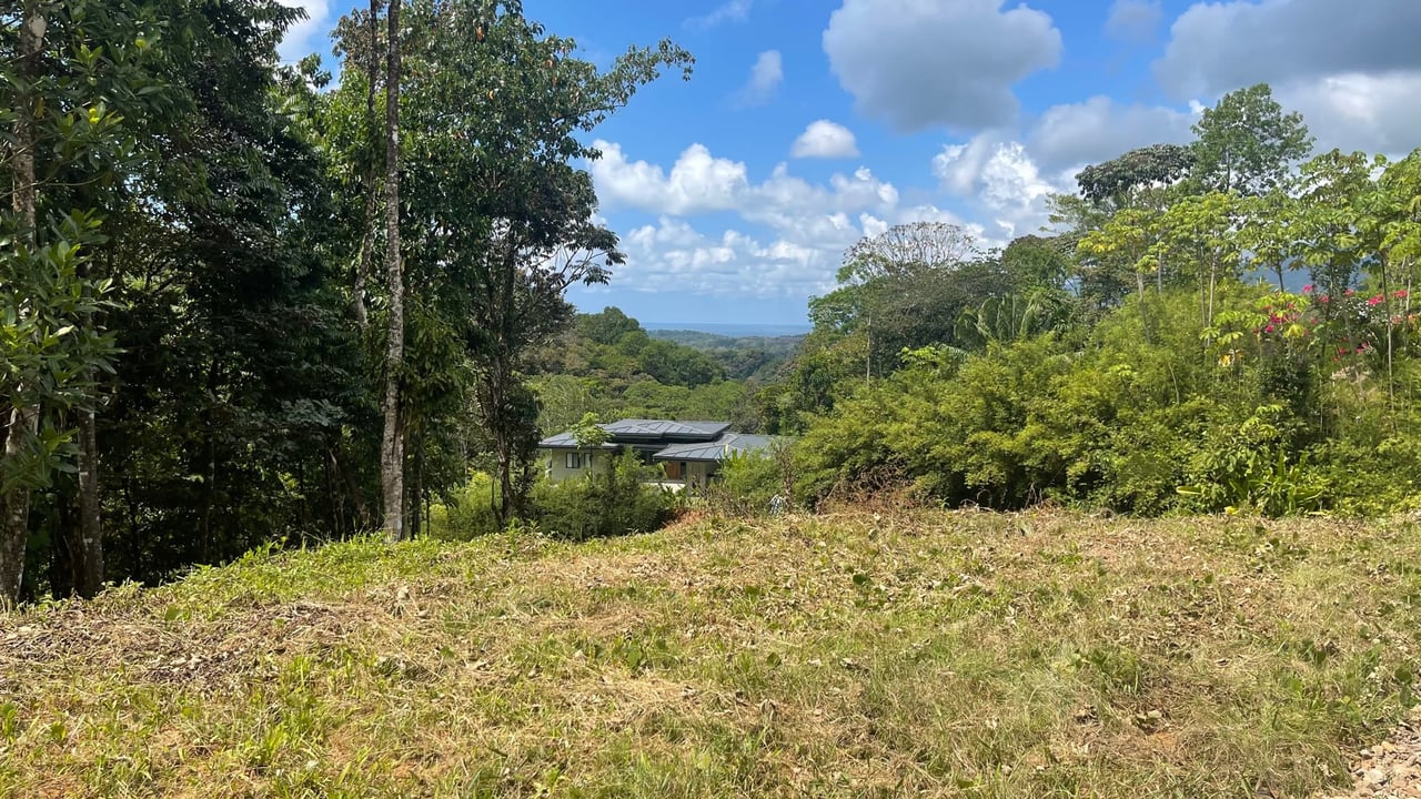 Dulce, Uvita Lot 34 Ocean View and Ready to Build! Gated Community!!