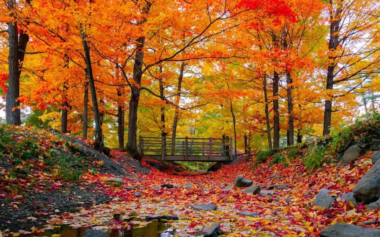 How to Prepare Your Home for Fall and Winter Care