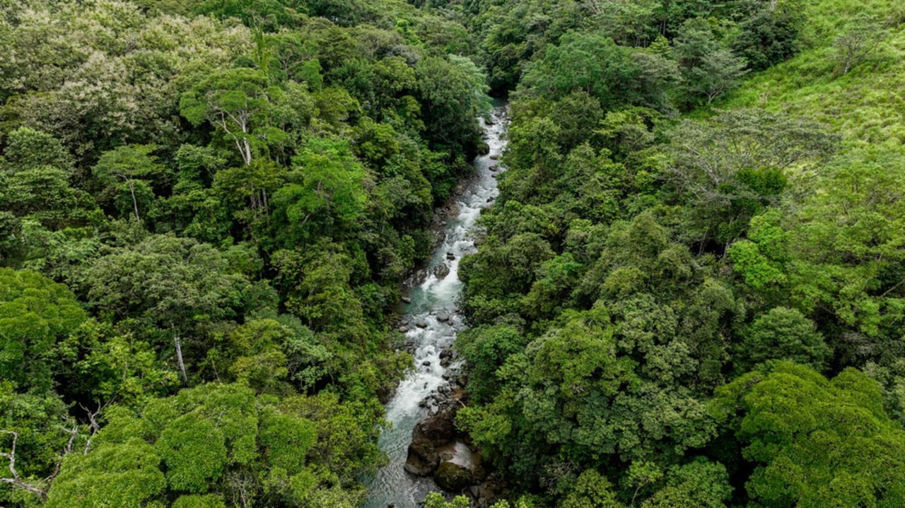 Waterfall Riverfront View Land, Uvita, Puntarenas