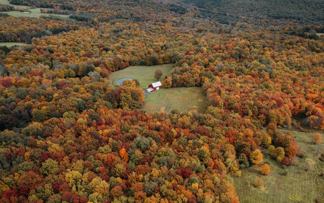 Catskill