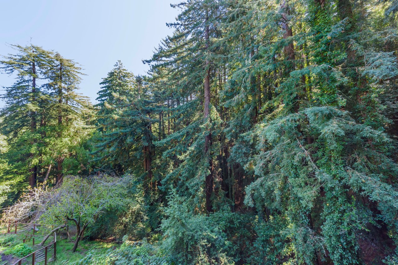 Enchanted and Serene Tree House Property- Represented Seller