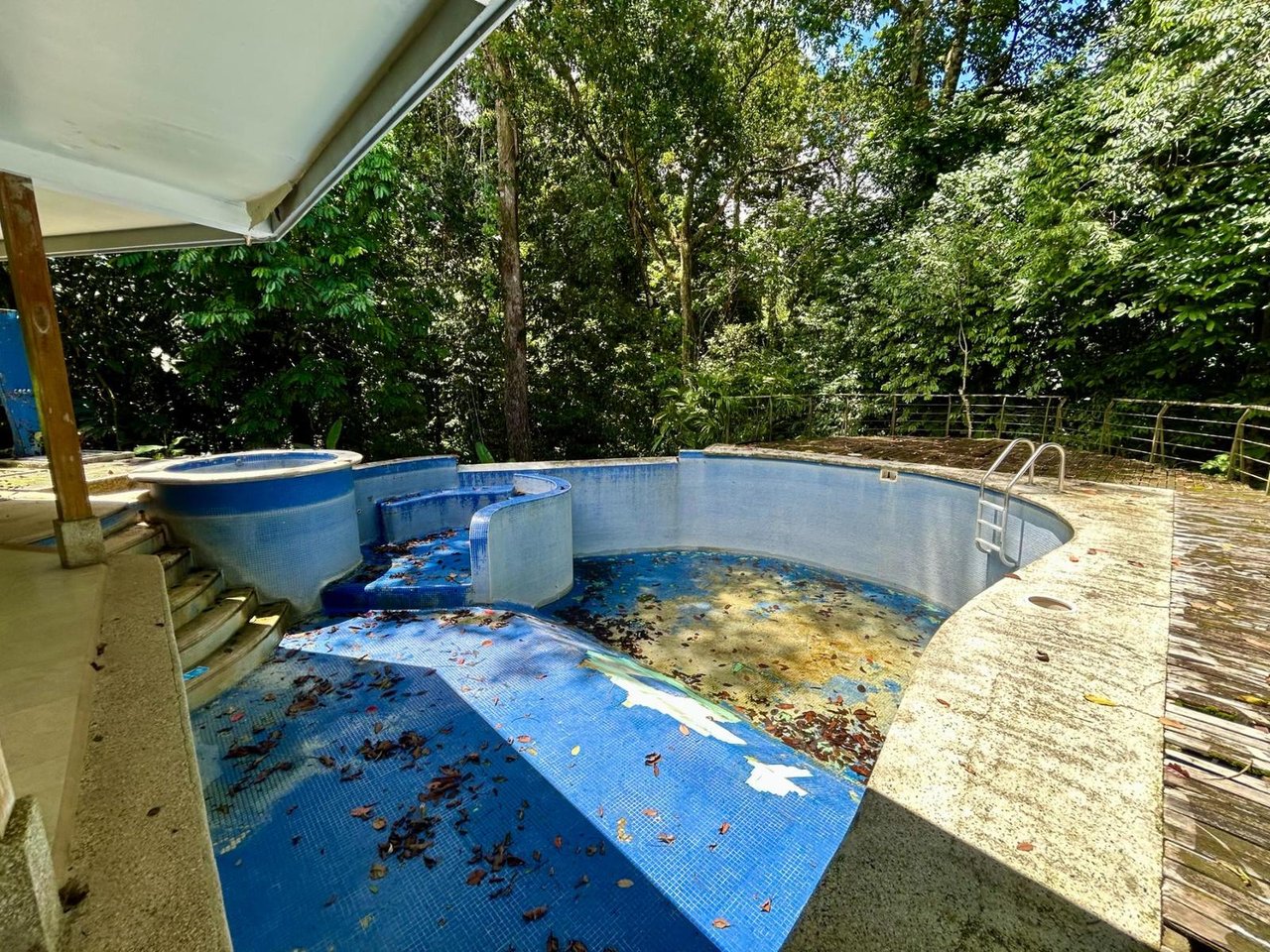 Tropical Forest Fixer Upper, Osa, Puntarenas