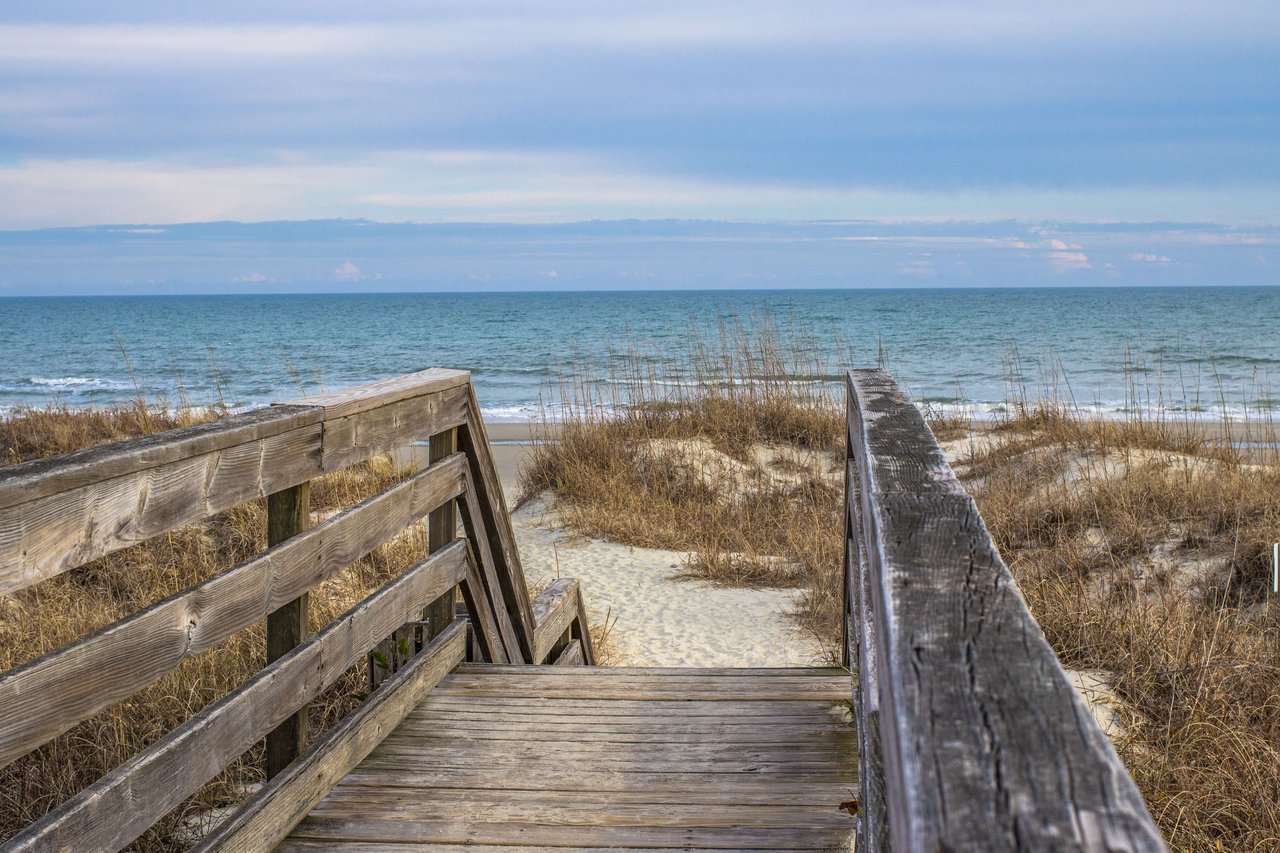 The Beaches of Charleston