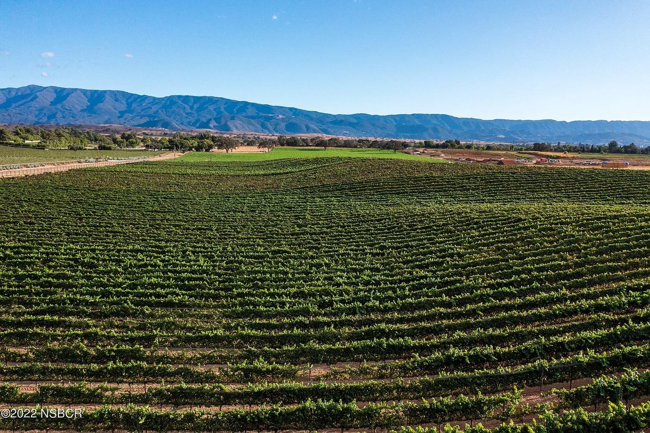 Build your Dream Vineyard Estate