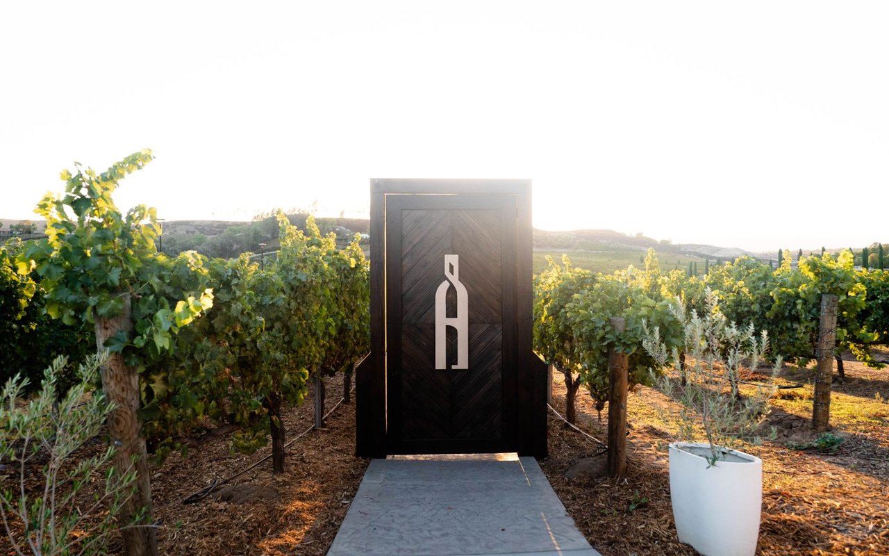Akash Winery 🍇 