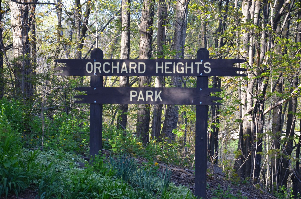 Orchard Heights