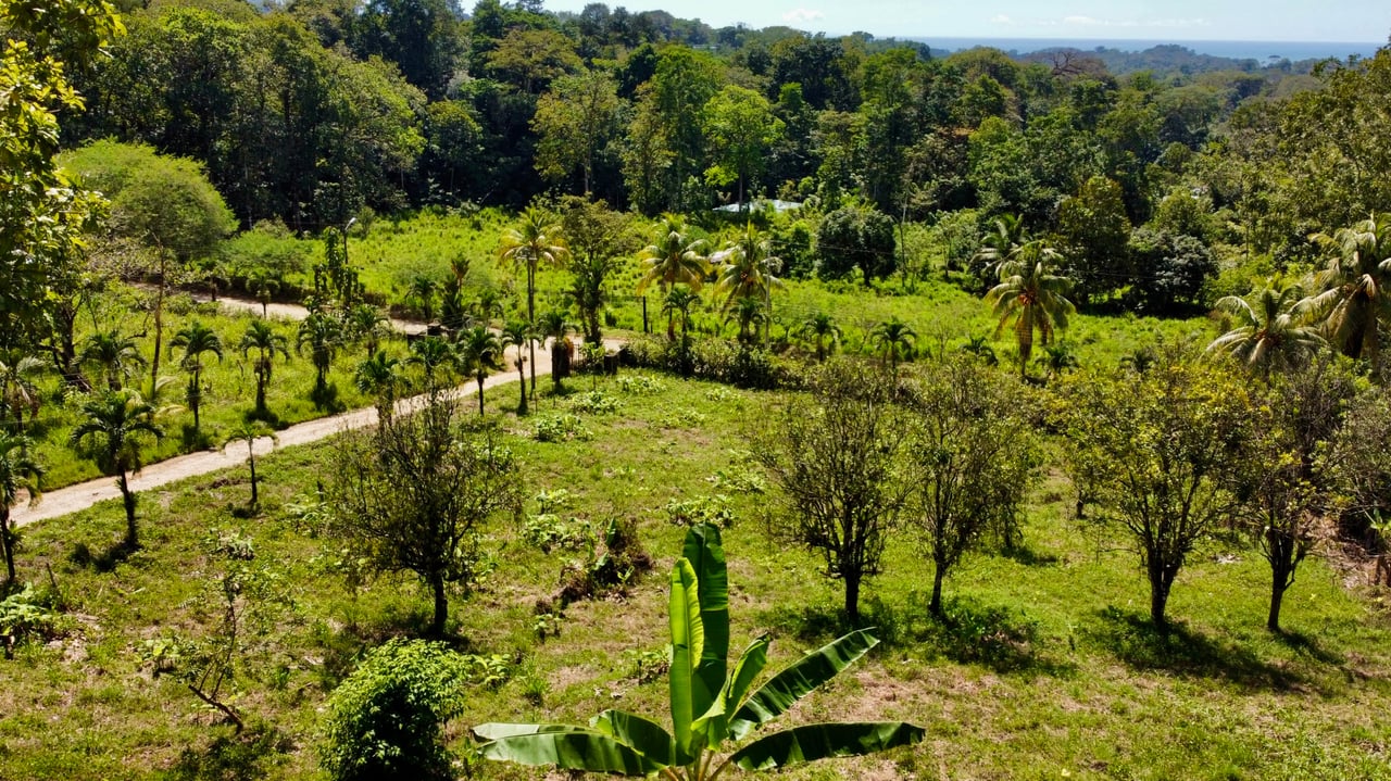 White Water View in Ojochal!!