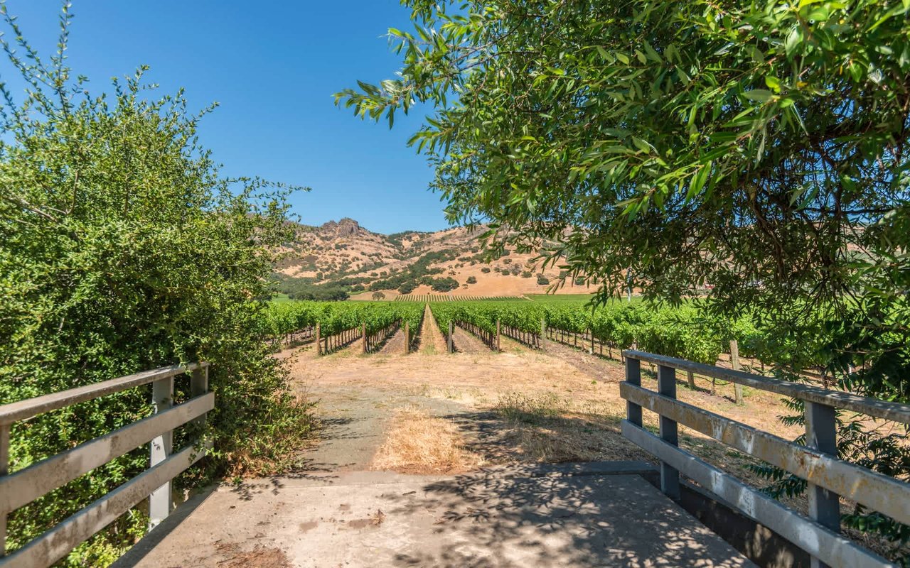 Stag's Leap, Napa Valley