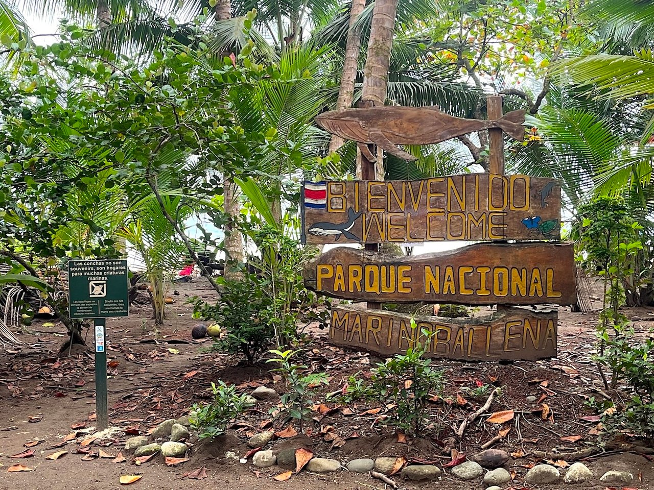 Luxury Development Land, Uvita, Puntarenas