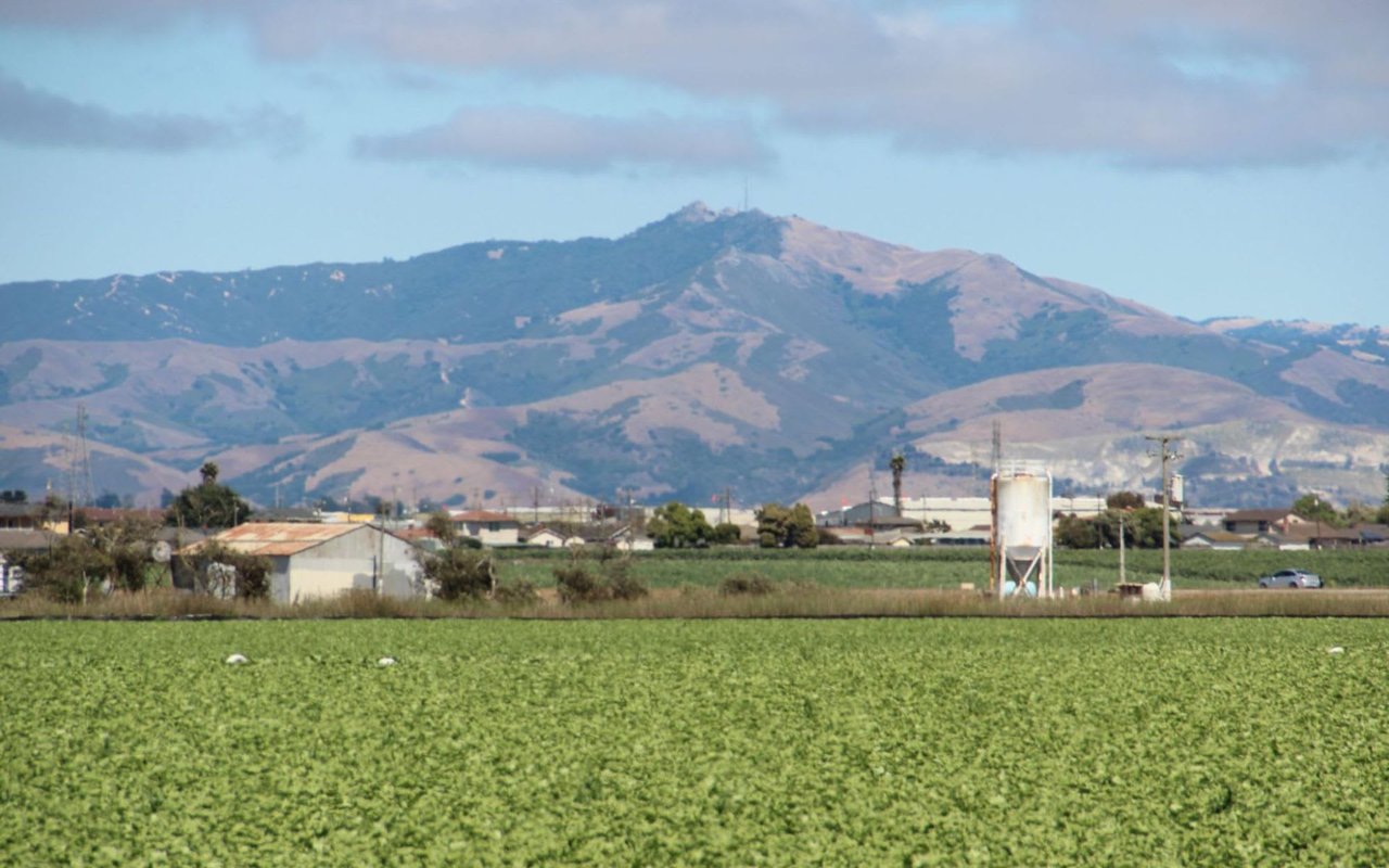 Your Guide to Living in Fremont