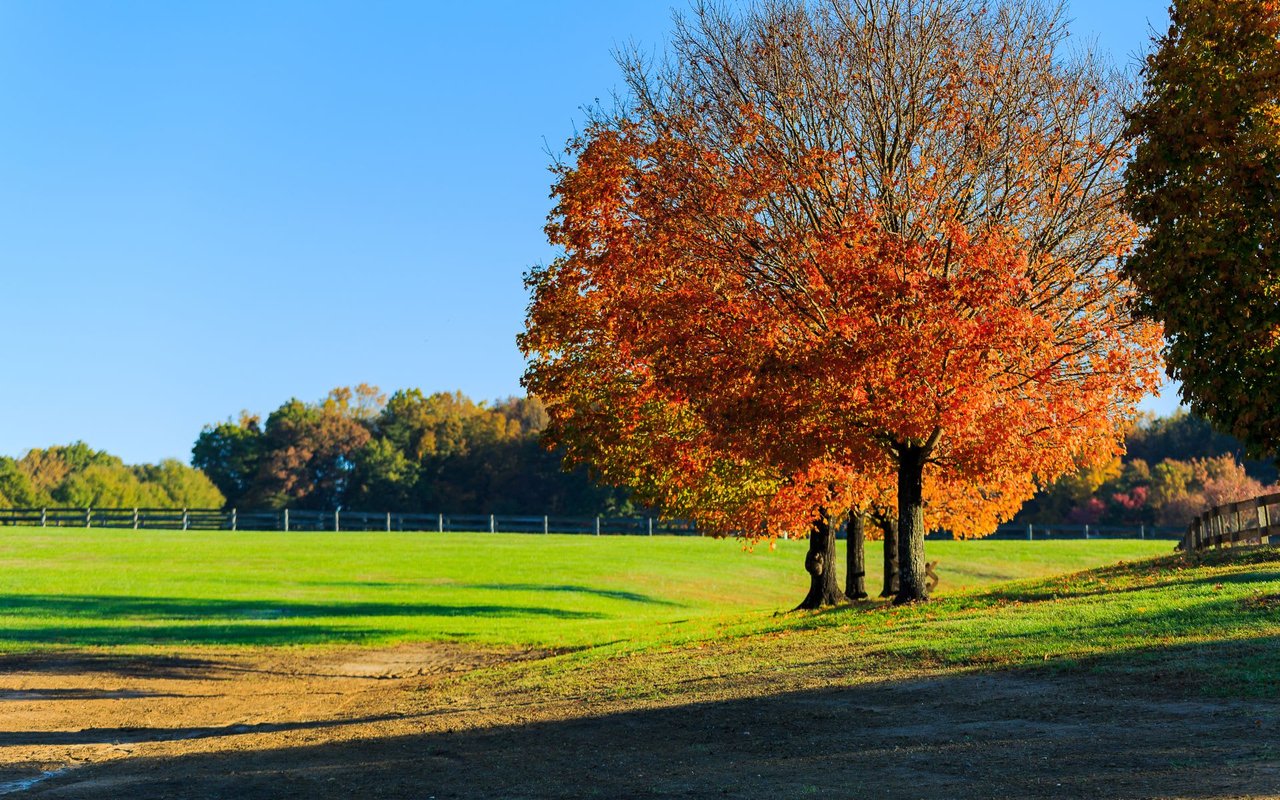 Northern Virginia