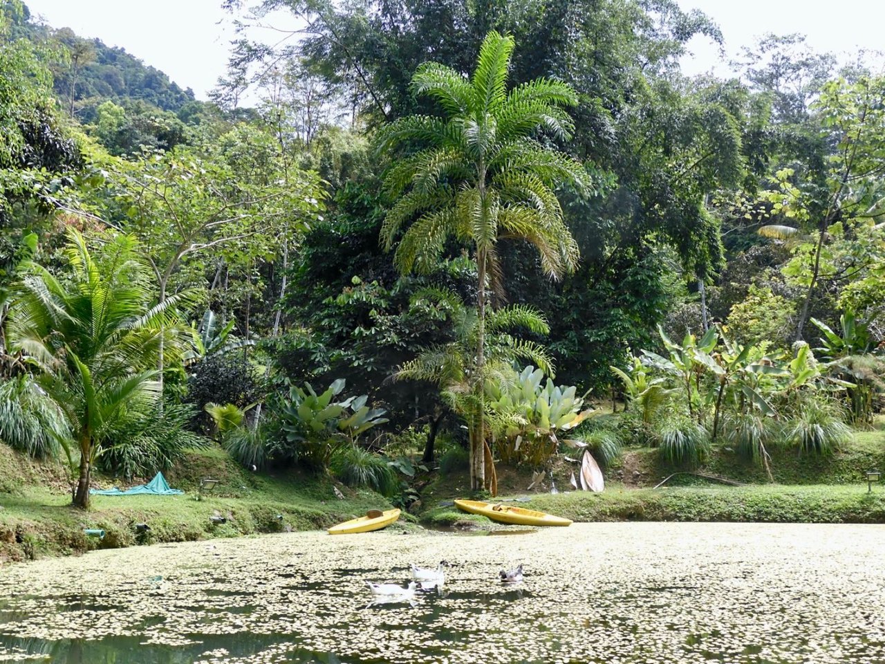 Mountain View Wellness Retreat, Perez Zeledon, San Jose