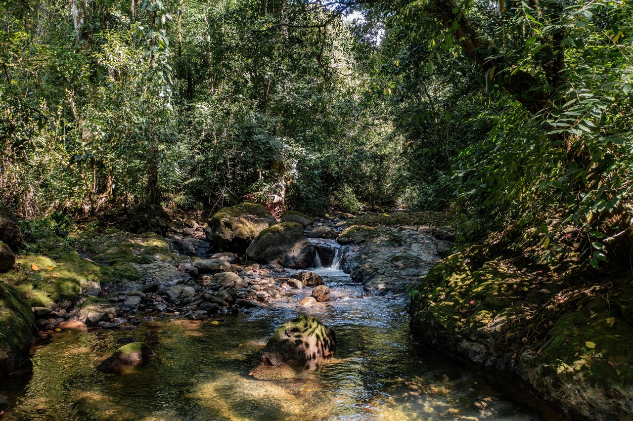 Secluded Ocean view Land in Dominical, Costa Rica