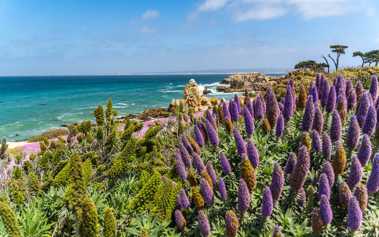 Carmel by the Sea