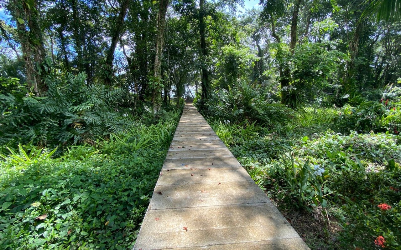 Titled Beachfront Development Land, Uvita, Puntarenas