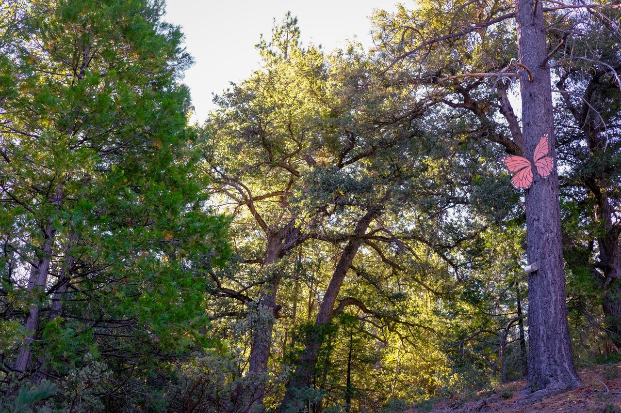 Rare Idyllwild Geodesic Dome 