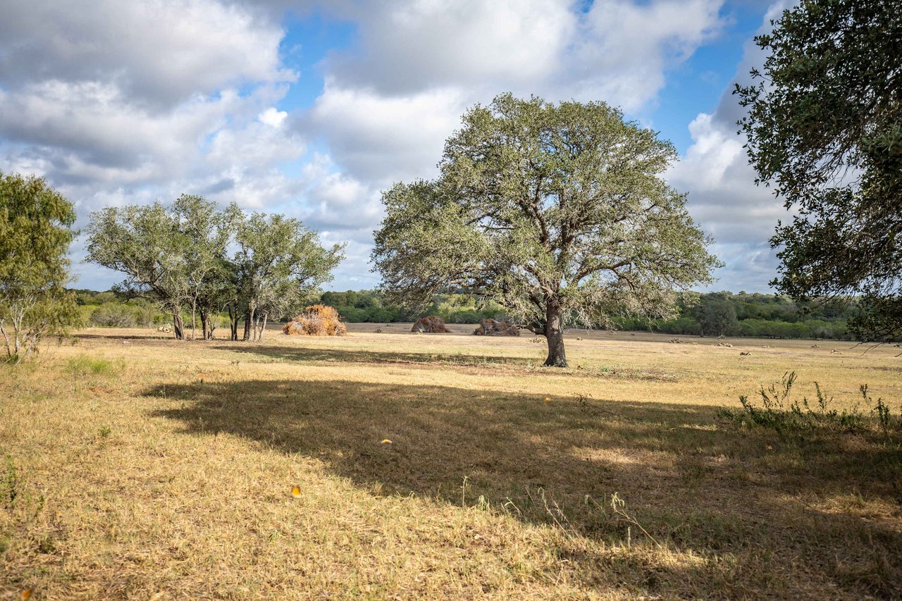 The Poco Loco | 278± Acres | DeWitt County
