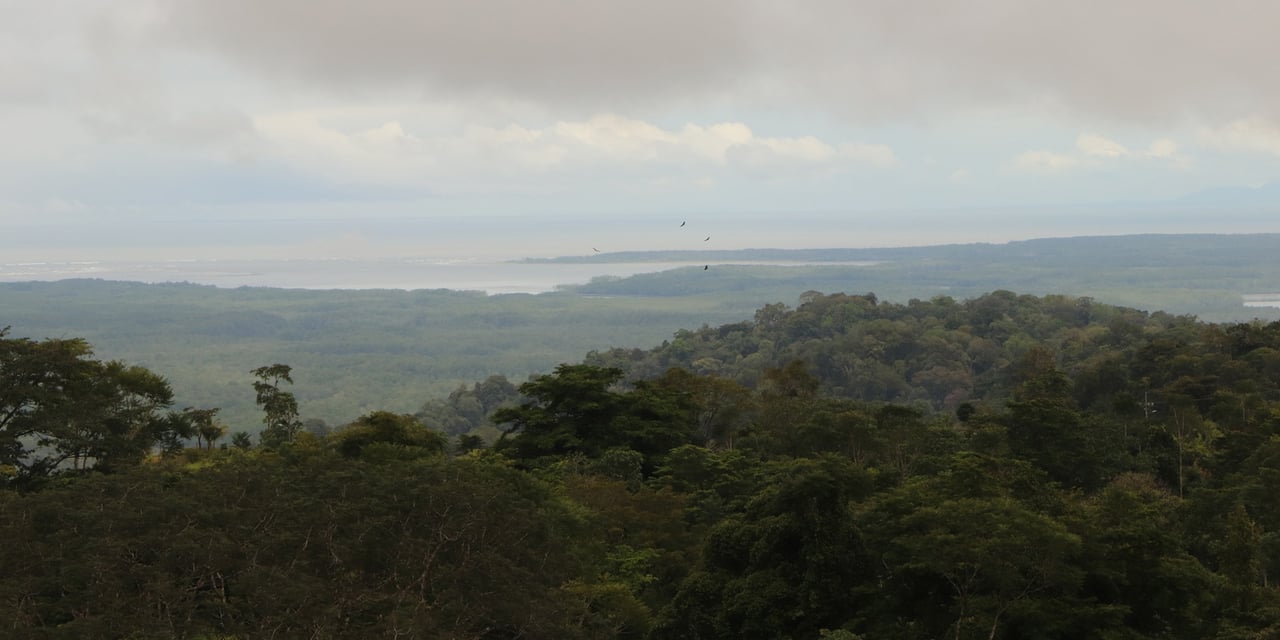 Rainforest Conservation Pasture Land, Osa, Puntarenas
