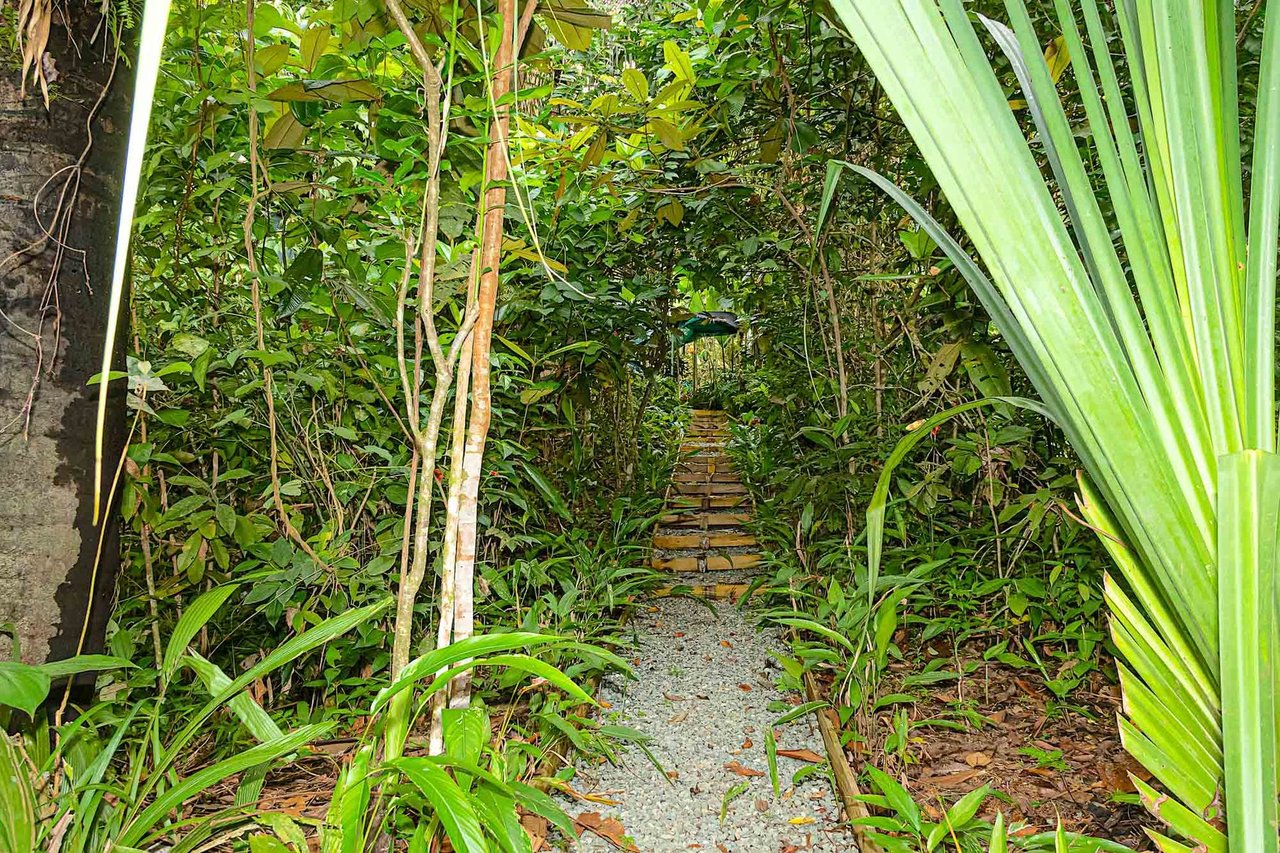 Multi Residence Jungle Compound, Manuel Antonio, Puntarenas