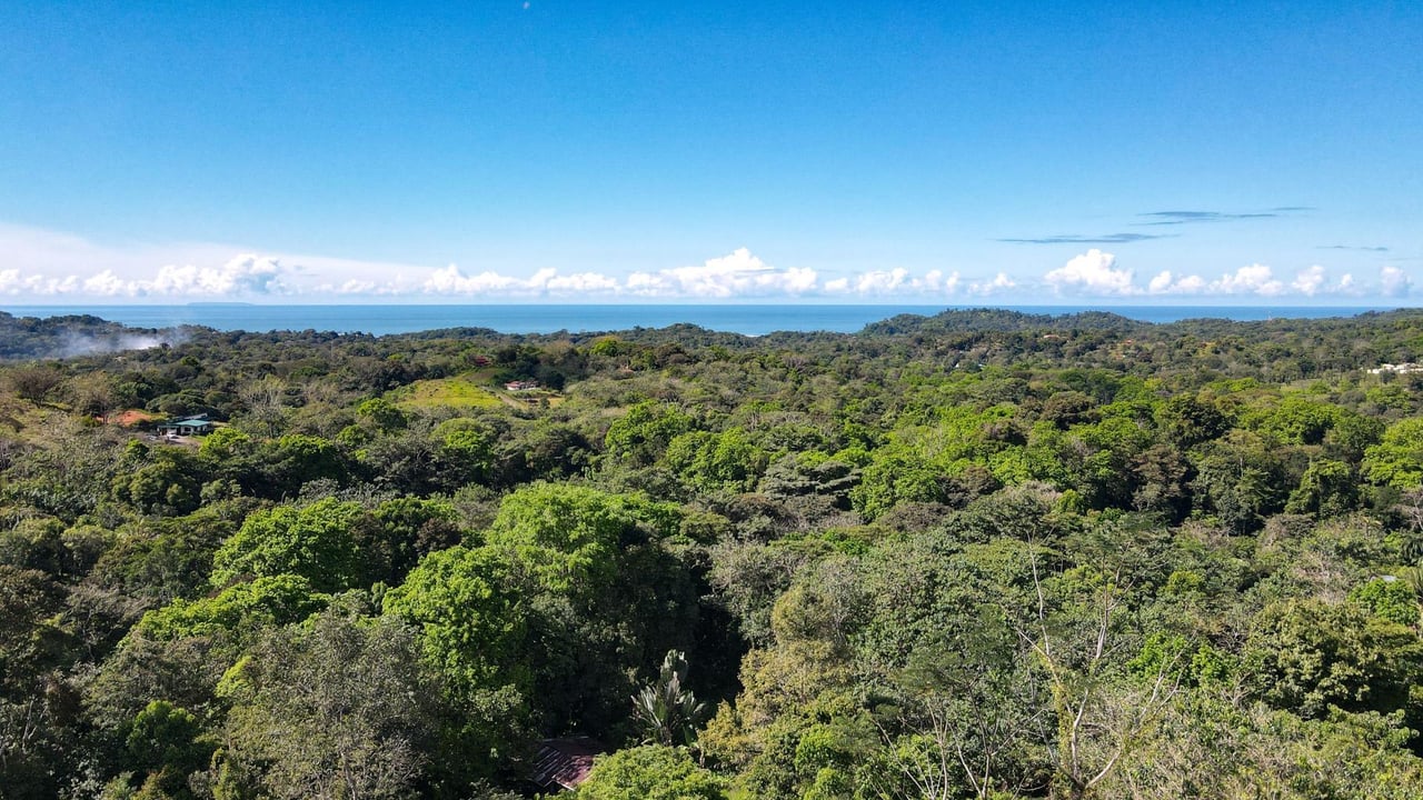 One-of-a-kind Oceanview 3+ Bedroom Home