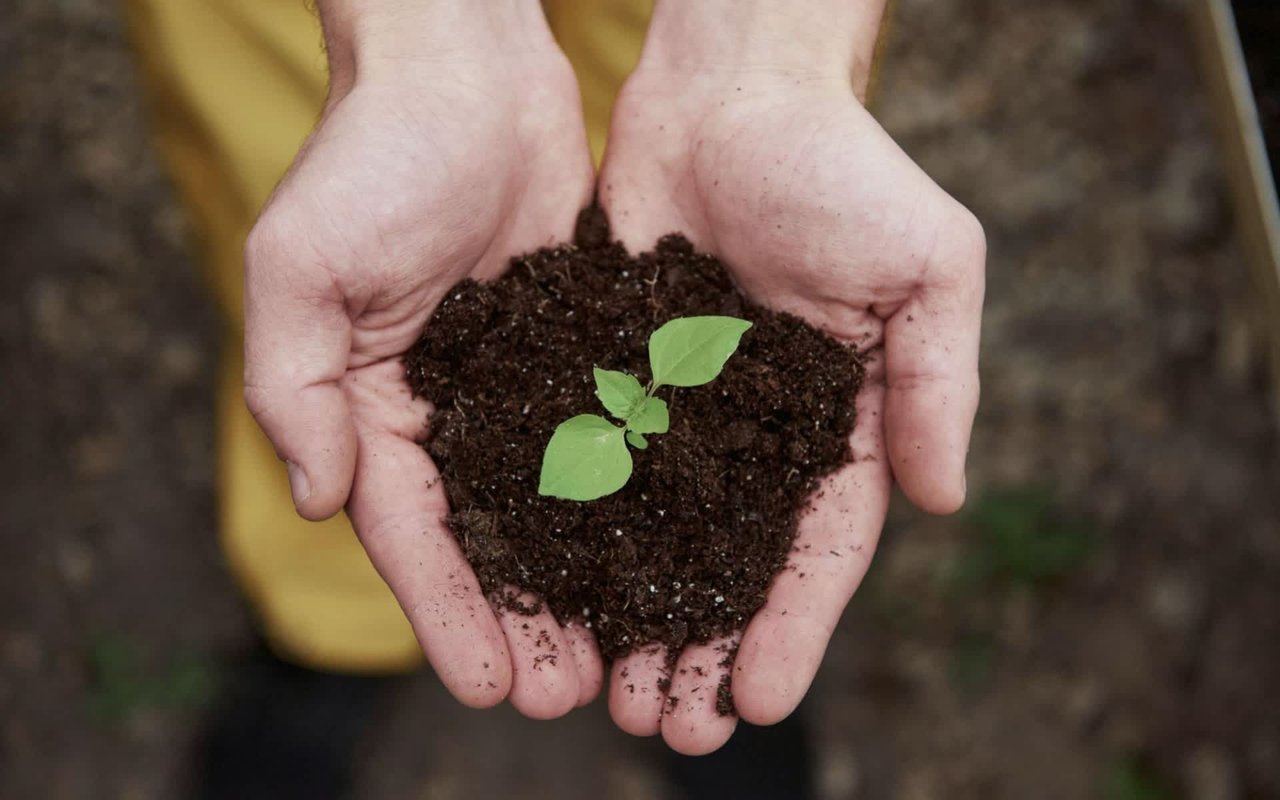 Green Living: Incorporating Eco-Friendly Features in Your Home