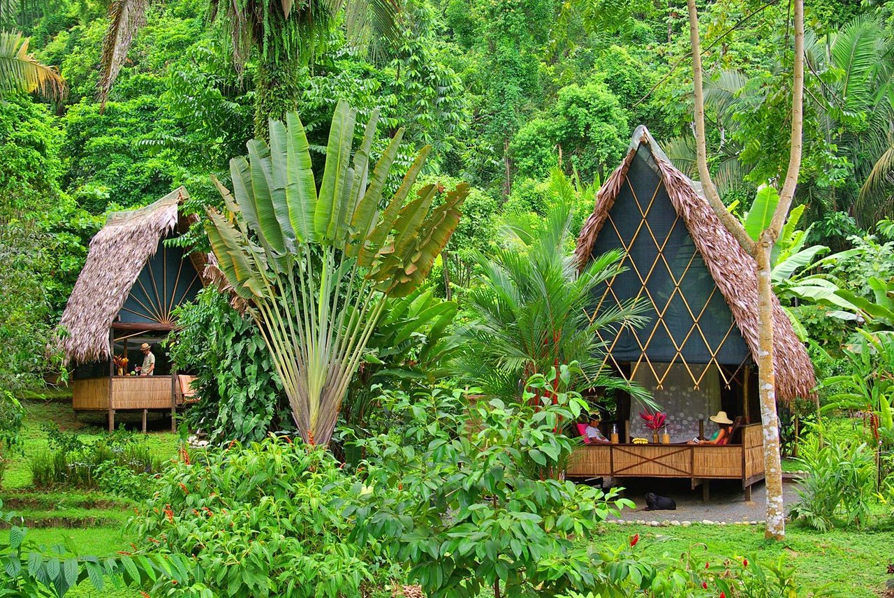 Sustainable Oceanfront Eco Lodge, Osa, Puntarenas