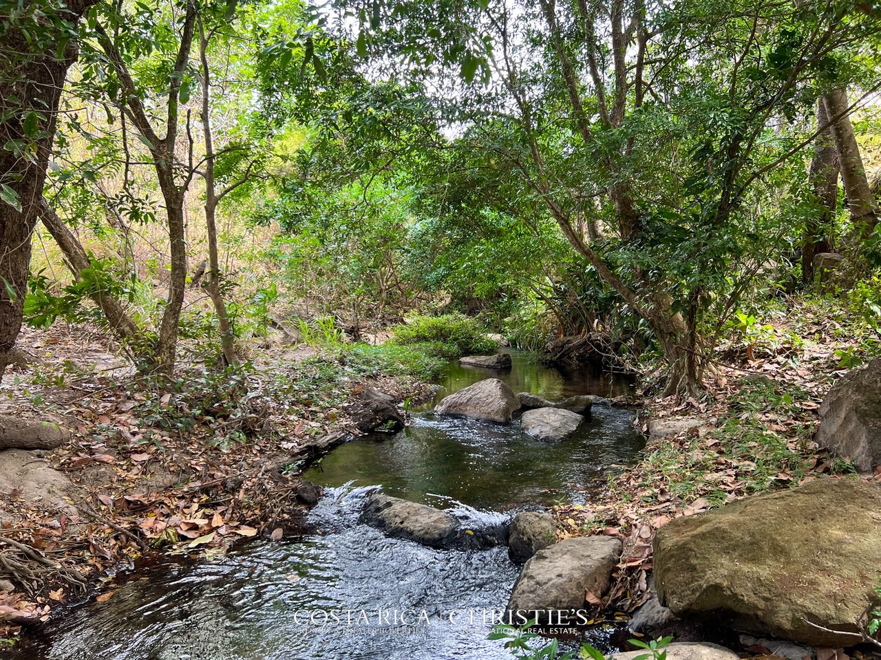 Finca Marsellesa