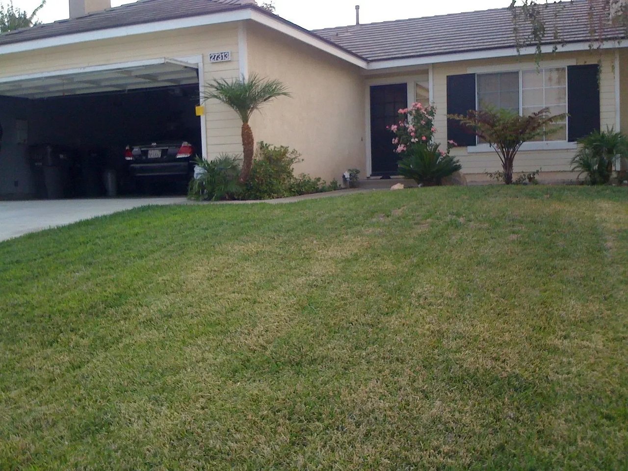 27313 Mystical Springs Drive