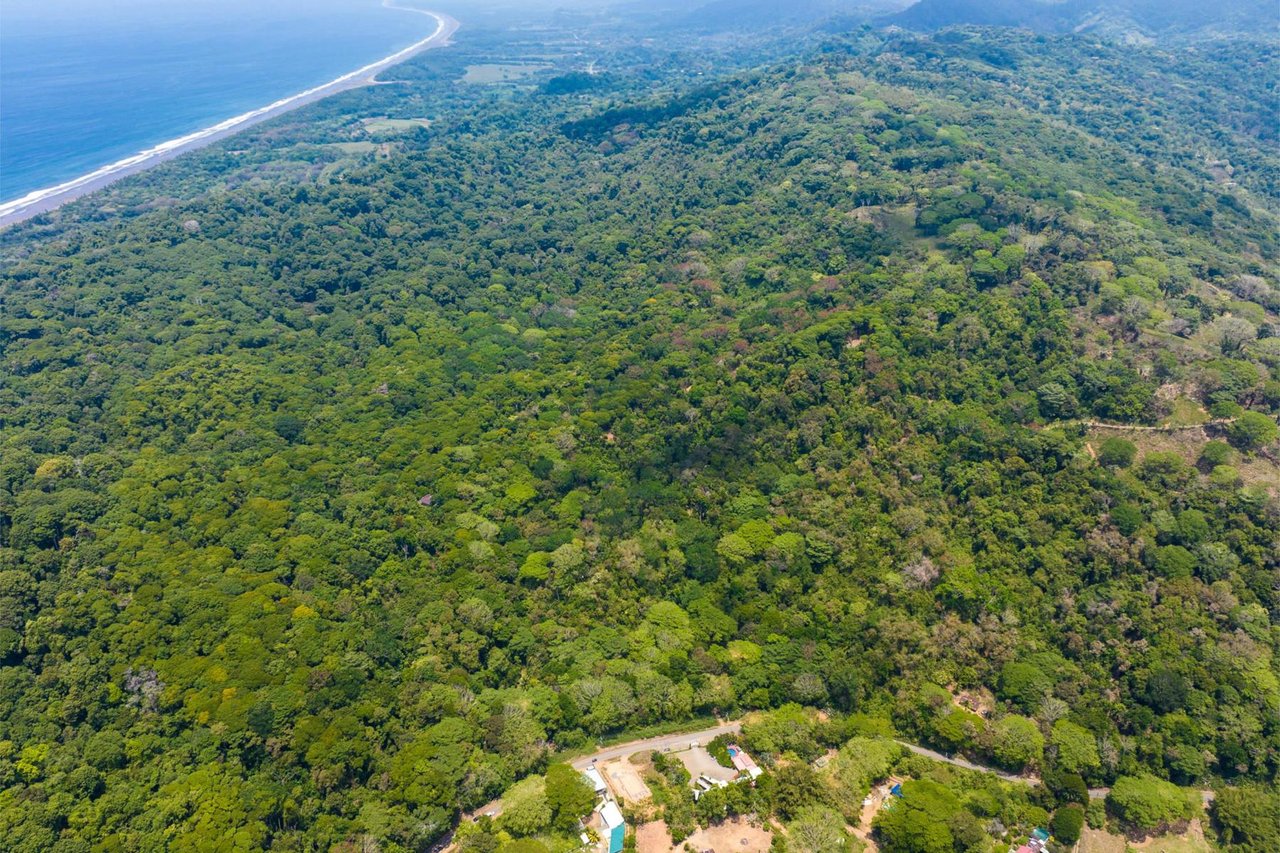 Private Ocean View Development Lot, Dominical, Puntarenas